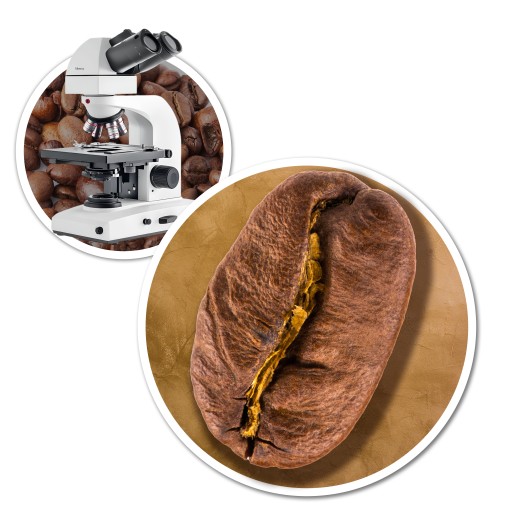 Kawa ziarnista 1kg Brazylia Cerrado Świeżo Palona Arabica 100% SingleOrigin - obrazek 13